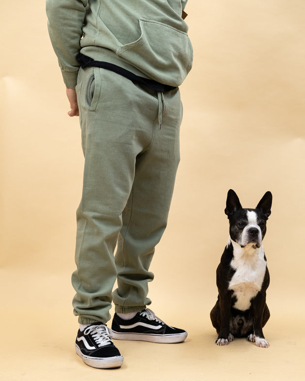 KOOL Kit sauge